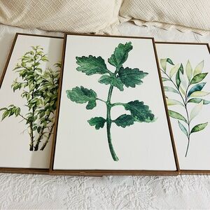 Set of Three Botanical Wall Art Prints
